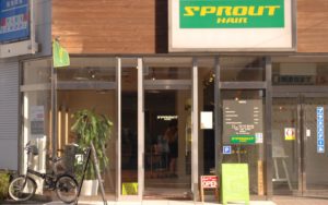 SPROUT 柏
